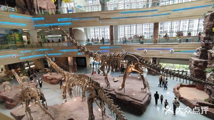 安徽省地质博物馆图片