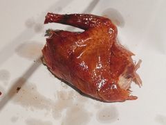 -鸽子侯·家宴·平价海鲜(绿地店)