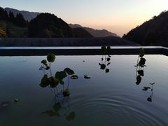 -嘉豪淮海国际豪生酒店