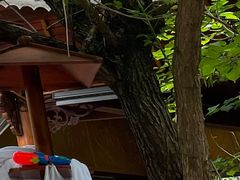 -剑河仰阿莎温泉小镇