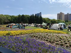 -黄兴公园