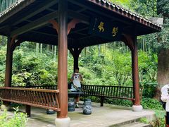 -东明山森林公园