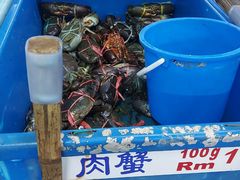 -旗鱼海番村(Orang Asli)