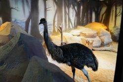 -酷嗒动物文化乐园(cutezoo西溪乐天城店)