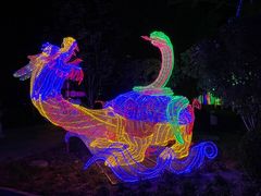-南宫五洲植物乐园