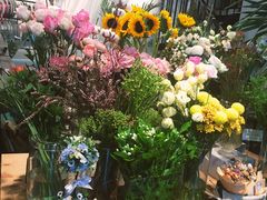 -植物学家的女儿(北马道巷店)