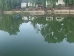 -尚庄度假村·庭台树下·户外烧烤·团建CS·轰趴营地(上庄水库店)