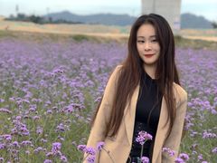 -光明小镇欢乐田园