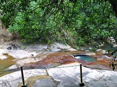 -广州白江湖森林公园