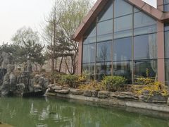 -1369冰火锅(木北路店)