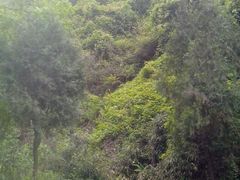 android_upload_pic-田峪河公园