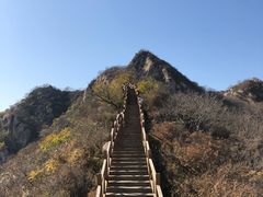 景点-大岭沟猕猴桃谷风景区