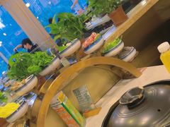 -烹然四季椰子鸡火锅(团结湖总店)