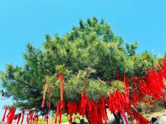 -泰山风景名胜区