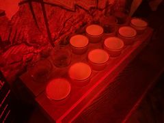 -The Drinkery (瑞金店)