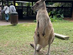 -热带雨林自然公园
