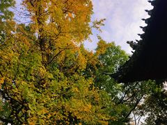 -汇龙潭