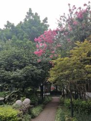 -莲生母婴月子中心(清水河公园店)