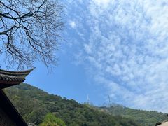-韬光茶庵