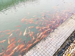 -千龙湖生态旅游度假区