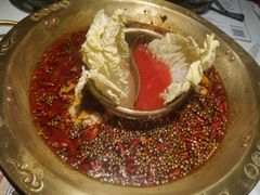 -哥老官重庆美蛙鱼头(龙湖杭州金沙天街店)