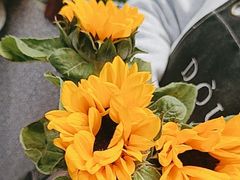 -豆豆花艺(新光天地店)