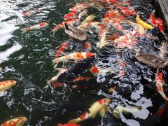 -湖鲜楼