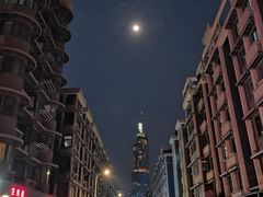 -紫峰大厦