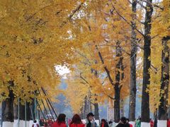 -百林公园-两江幸福广场