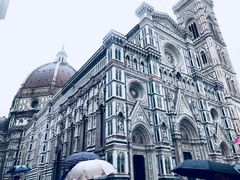 -圣母百花大教堂穹顶