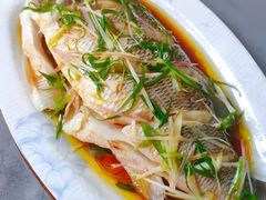 -天鹅到家·保姆月嫂育儿嫂(龙华店)