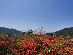 -大围山国家森林公园