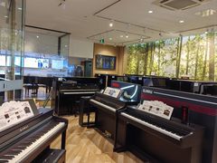 -柏斯琴行(汾阳店)