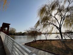 -石家庄市植物园