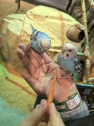 -酷嗒动物文化乐园(cutezoo西溪乐天城店)