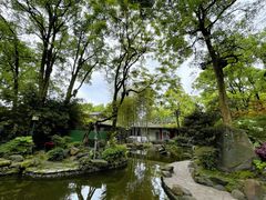 -南山植物园