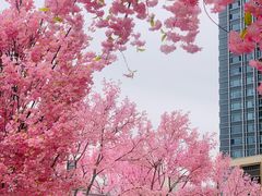 -首开·龙湖成都西宸天街