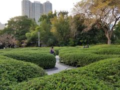 -九龙公园
