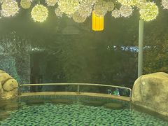 -北京乐多港万豪酒店汤乐宫温泉