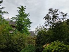 -香园自助小火锅