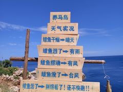 -养马岛旅游度假区