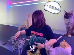 -极木²邸 人与宠物·互动社区
