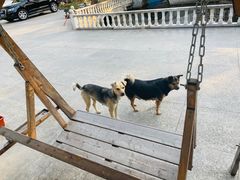 -龚家花园农家乐休闲别墅