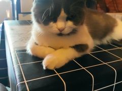 -机械师超级密室(小寨华旗店)