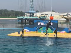 -秦皇岛乐岛海洋王国