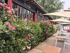 -中卫御苑福膳·养生局(圆明园店)