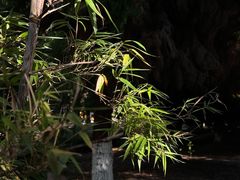 -白塘生态植物园