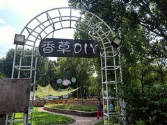 -紫海香堤香草艺术庄园