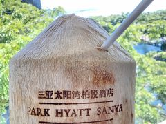 -三亚太阳湾柏悦酒店
