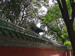 -白水寺森林公园